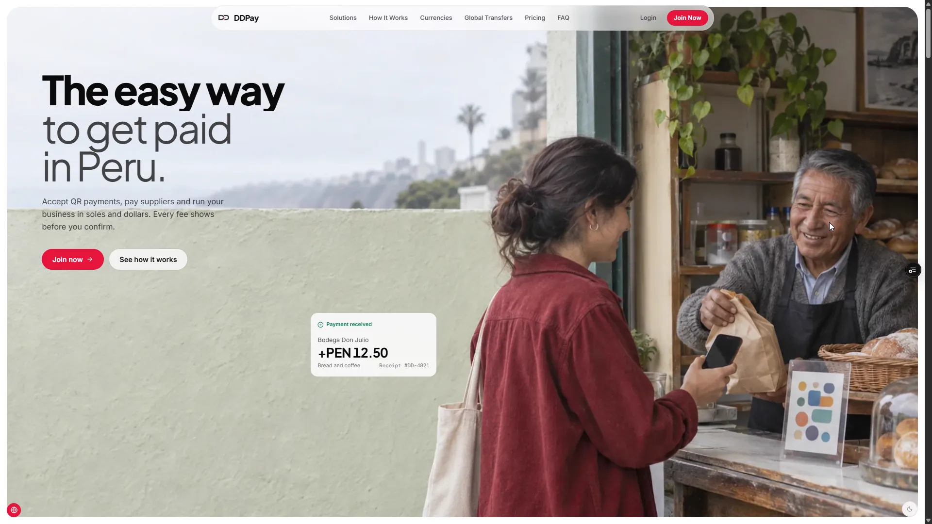 DDPay homepage